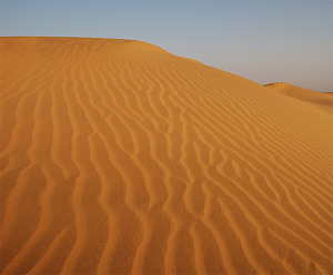 De Thar-woestijn (Jaisalmer)